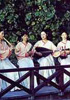 静寂の雅―台湾の南管音楽