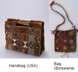 Handbag (USA)　Bag (Botswana)