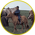 馬は子供にとっても日常の乗りもの・モンゴル