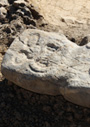南米アンデス文明の神殿で発見されたジャガー人間石彫 