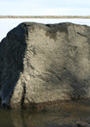シカチ・アリャンの岩面画とナナイの神話