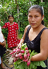 メキシコの女性たち ─ 農村開発プロジェクトから彼女たちが学んだこと