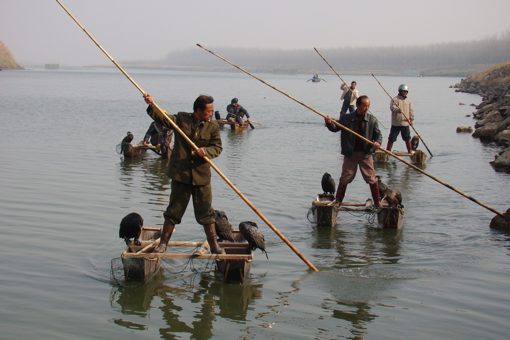 左右の小船に片足ずつまたいで乗り、竹棒を使って前進する漁師たち（湖北省荊州市）