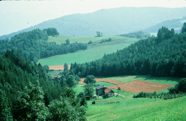 オーストリアの山地農家（1987年）