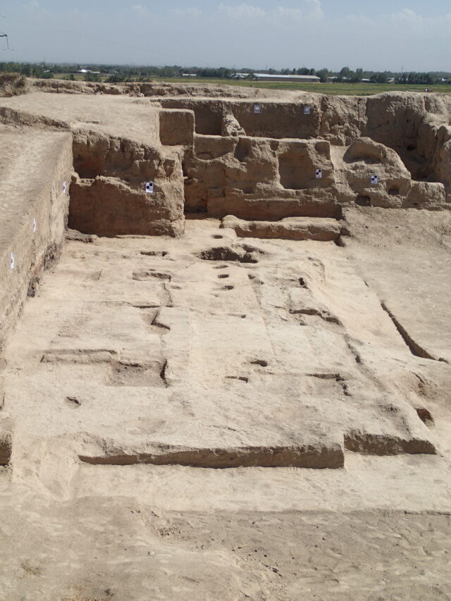 古代オアシス都市における人びとの暮らしと宗教――カフィル・カラ遺跡の発掘調査から