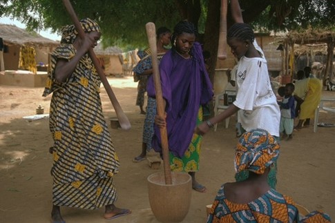 杵と臼で穀物を脱穀し、製粉する女性たち