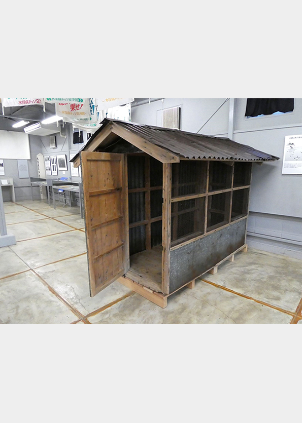 ネコ実験小屋の修復について @ 国立民族学博物館　本館展示場（ナビひろば）